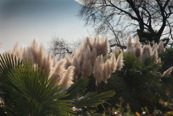 Natur